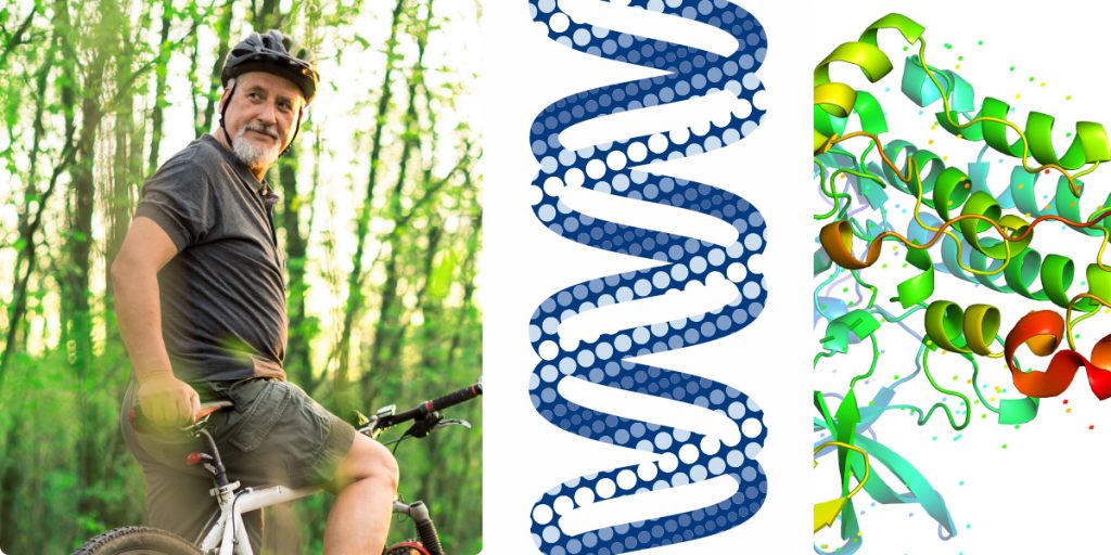 Was sind die Aufgaben von Aminosäuren?